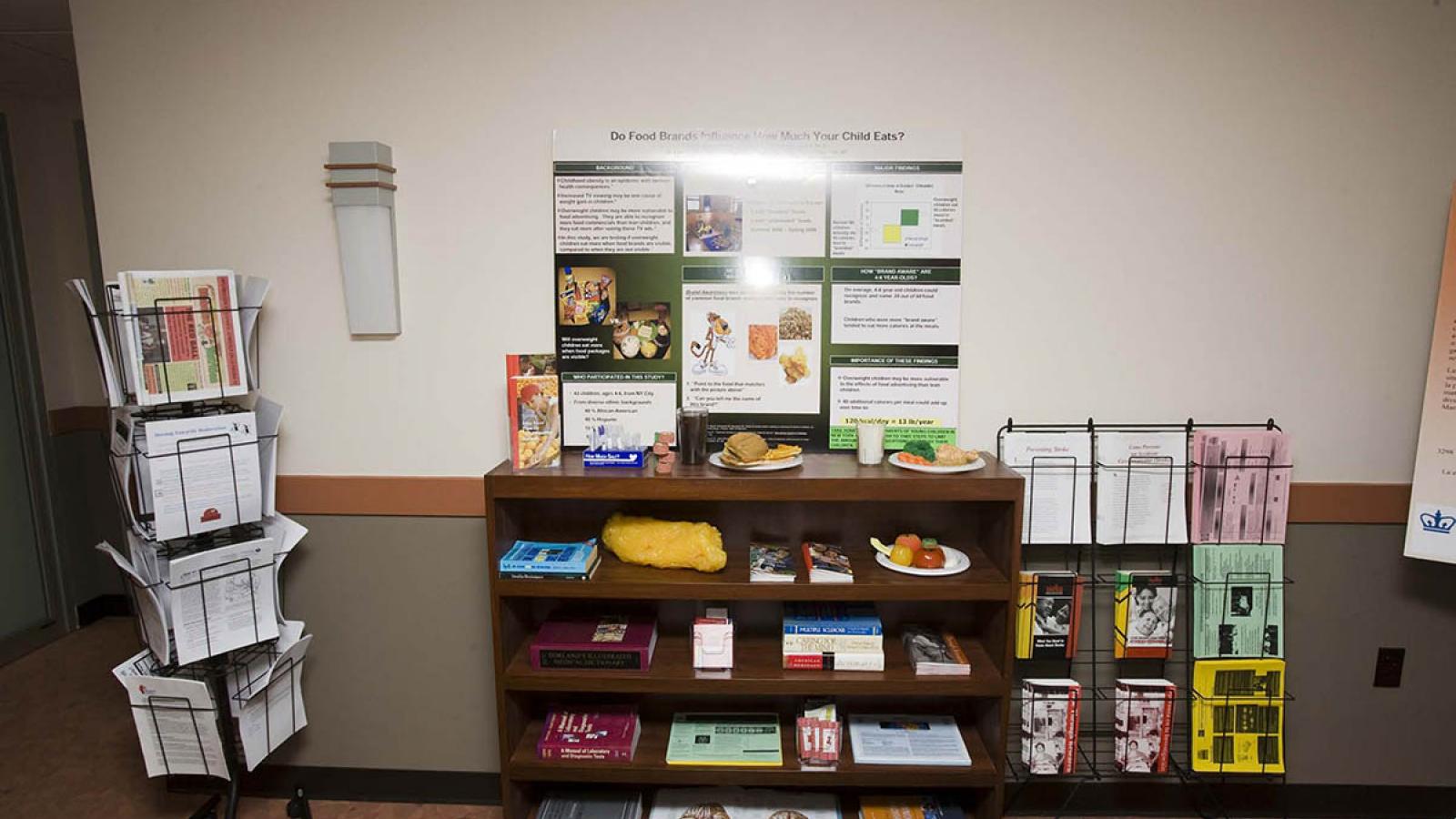 Bookshelf with pamphlets.