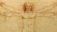 Da_Vinci_Vitruve_Luc_Viatour_CC