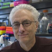 Headshot of Rudolph L. Leibel, MD.